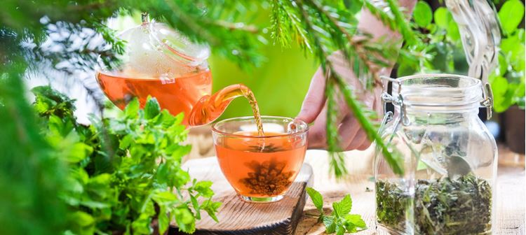 Kekik Yağı mı? Kekik Baharatı mı? Hangisi Daha Etkili?